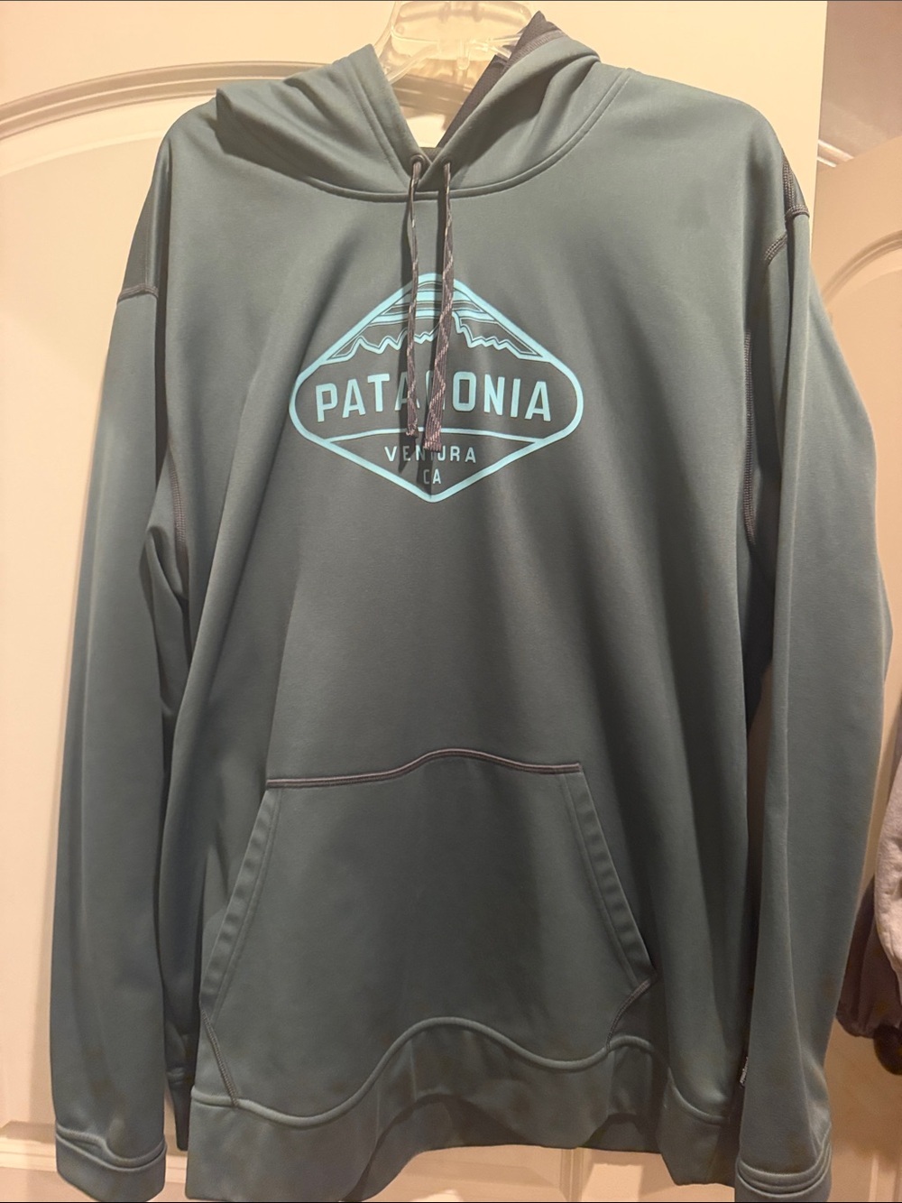 Patagonia Men’s Teal Pullover Hoodie with Aqua Logo